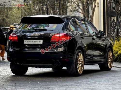 Porsche 2010 - ảnh 5