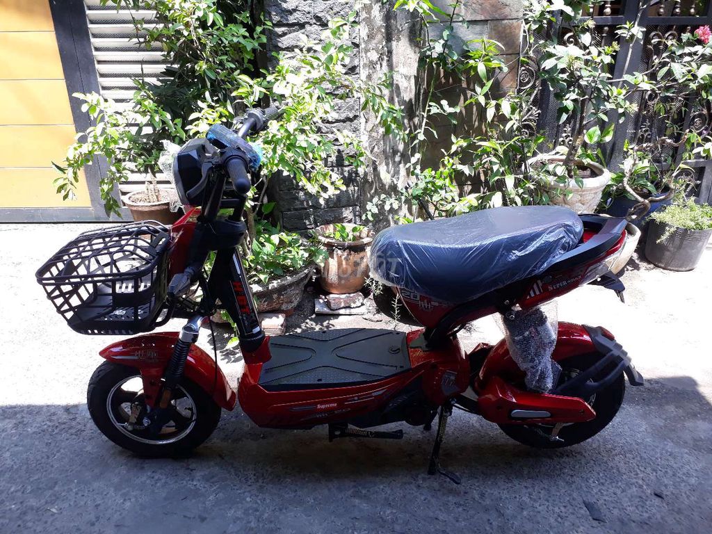 Xe - ảnh 2