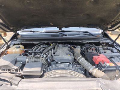 Ford 2019 - ảnh 1