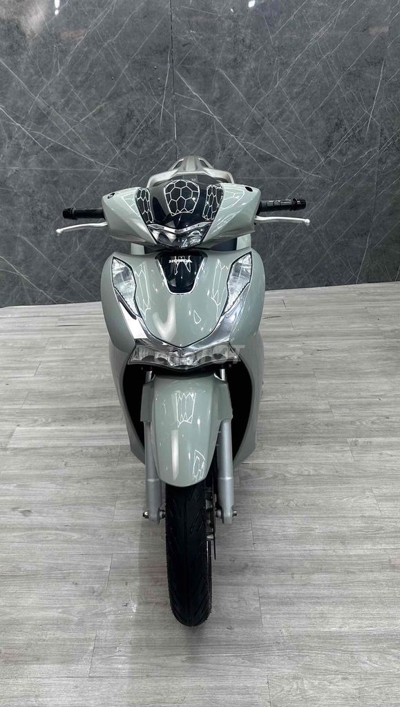 SHVN 2021 - ảnh 1