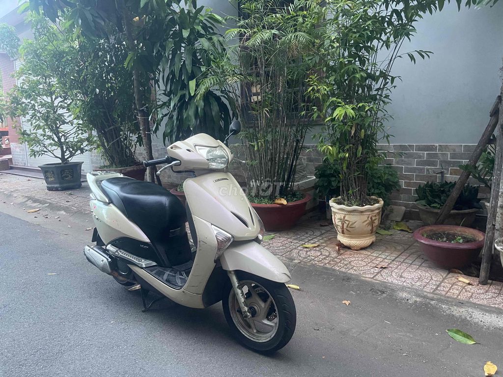 Honda Lead 2010 - ảnh 2