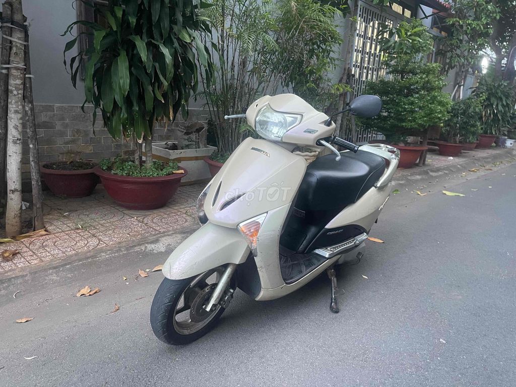Honda Lead 2010 - ảnh 4
