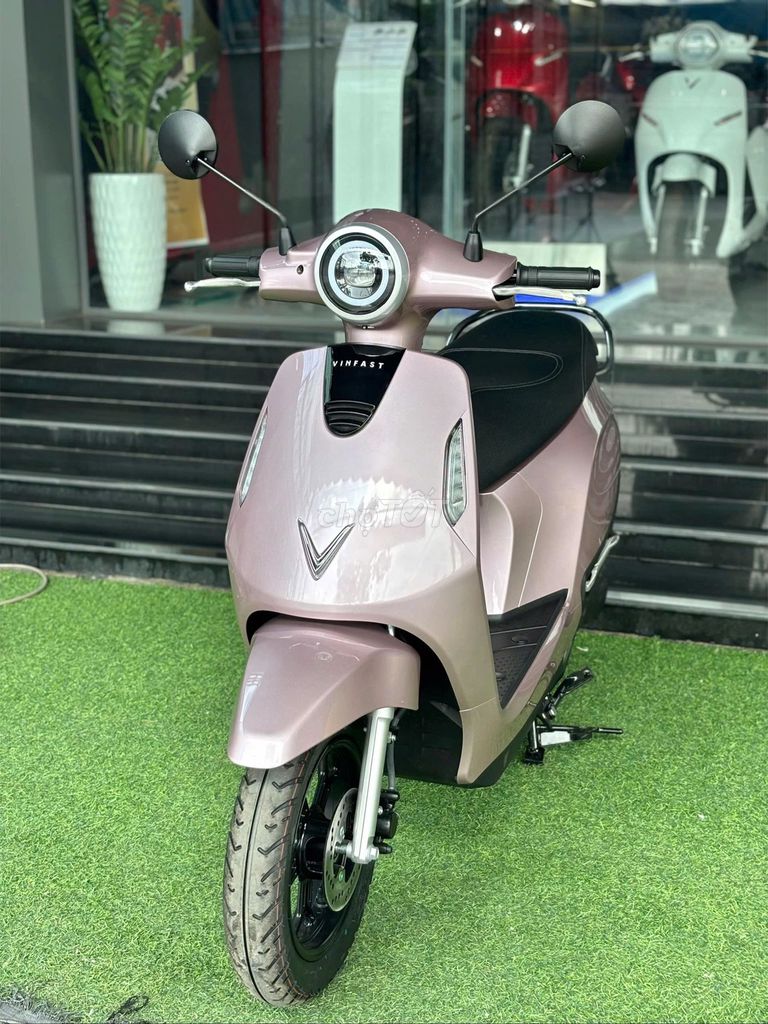 Xe m 2026 - ảnh 1