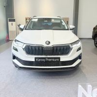 Skoda 2025 - ảnh 1