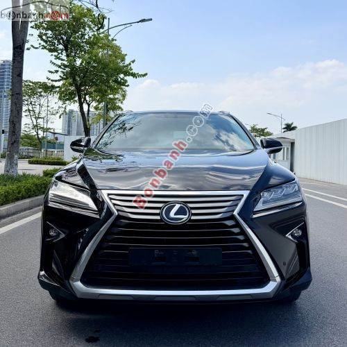 Lexus RX 300 2018 - ảnh 1
