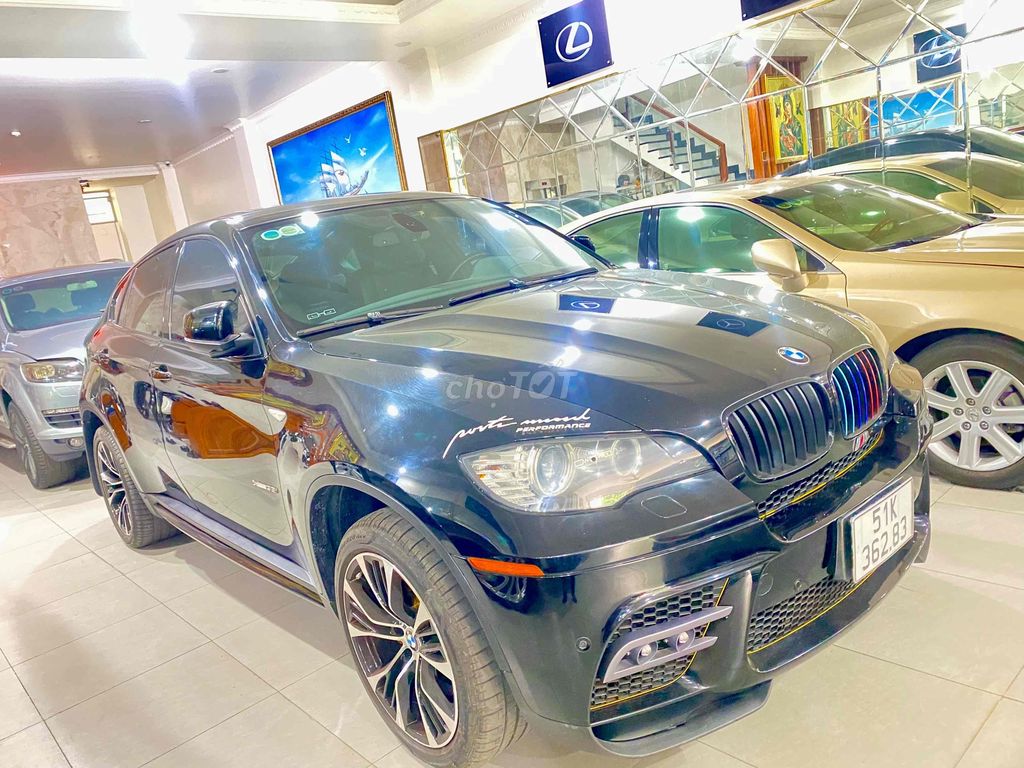 BMW X6 2010 - ảnh 1