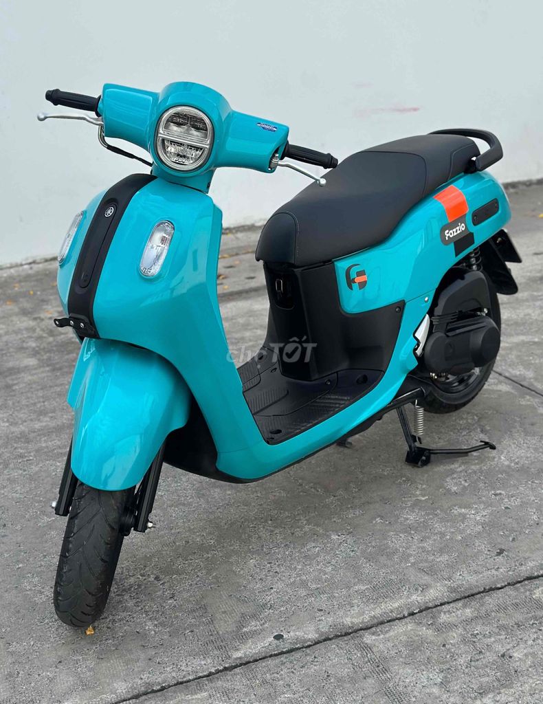 Fazzio 2023 - ảnh 1