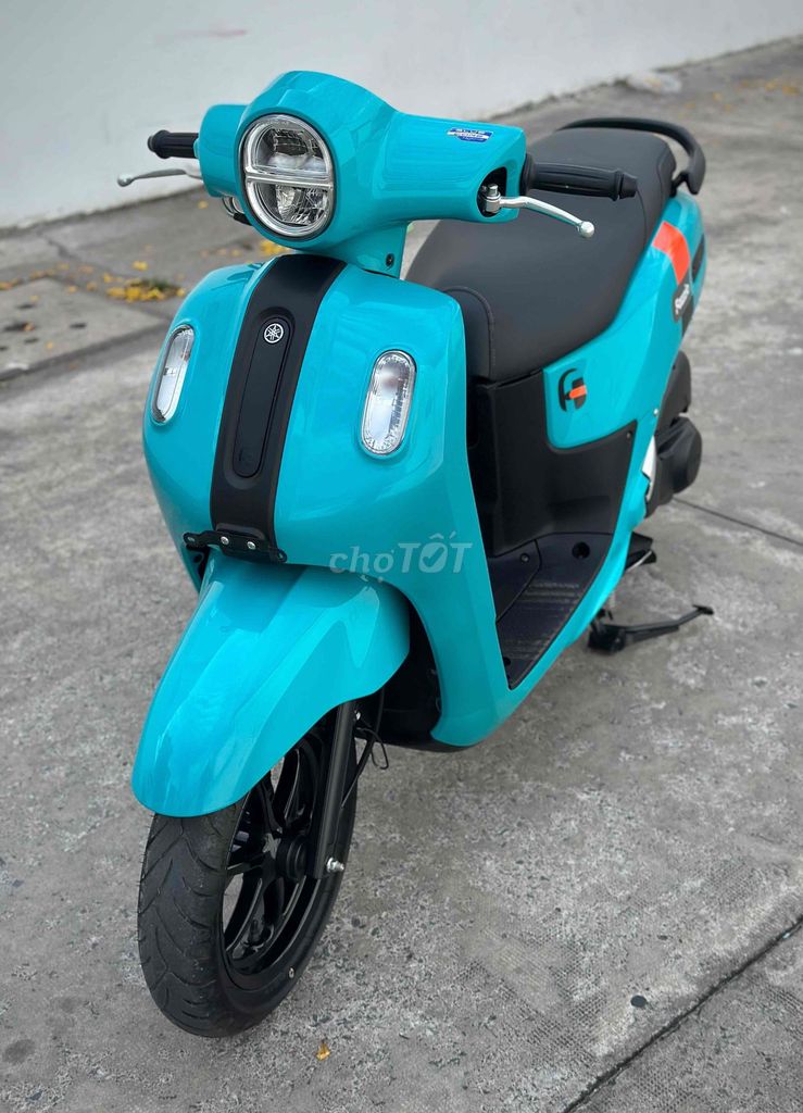 Fazzio 2023 - ảnh 5