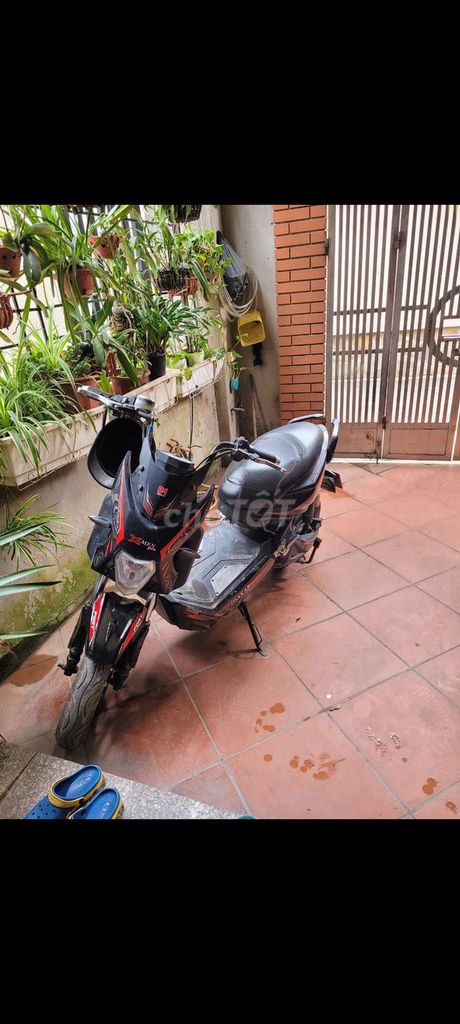 Xe m 2022 - ảnh 1