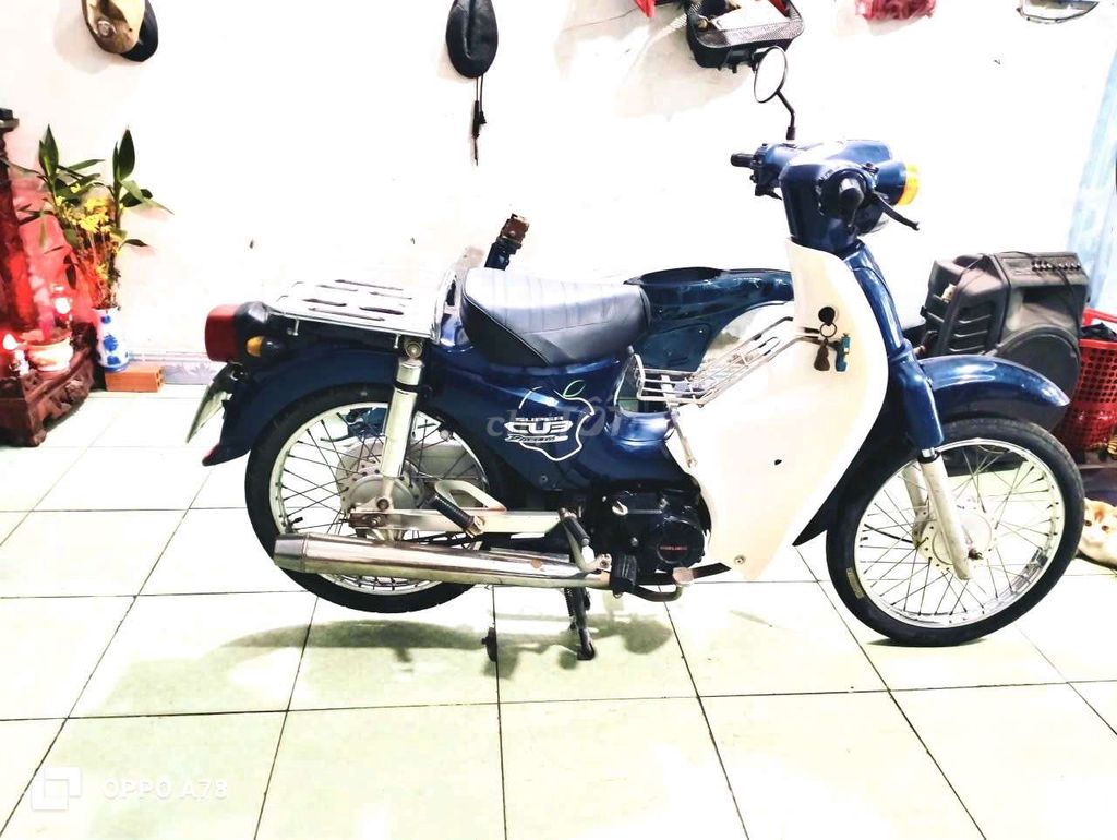 Honda 1986 - ảnh 2