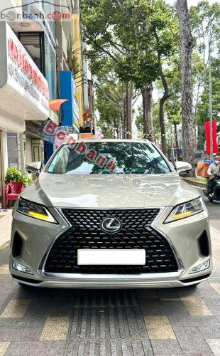 Lexus RX 300 2019 - ảnh 1