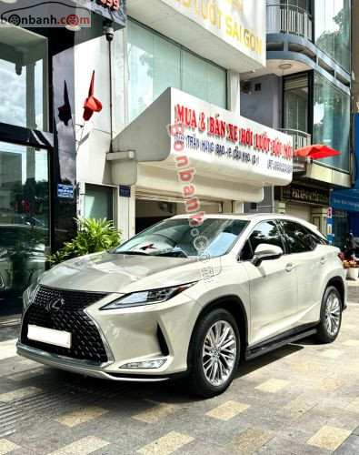 Lexus RX 300 2019 - ảnh 2