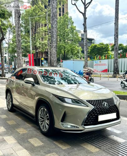 Lexus RX 300 2019 - ảnh 3
