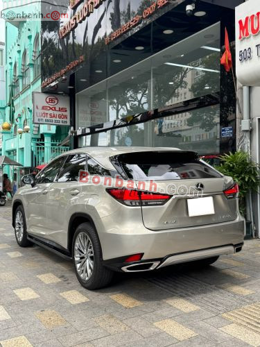 Lexus RX 300 2019 - ảnh 4