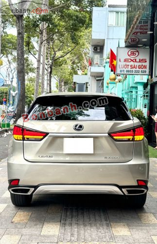 Lexus RX 300 2019 - ảnh 5