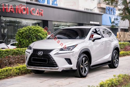 Lexus NX 300 2018 - ảnh 1