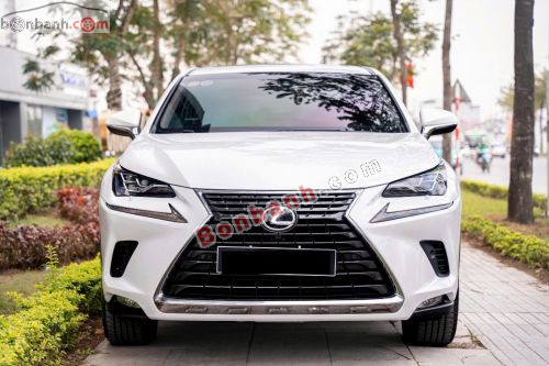 Lexus NX 300 2018 - ảnh 2