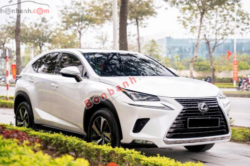 Lexus NX 300 2018 - ảnh 3