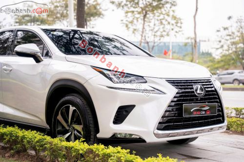 Lexus NX 300 2018 - ảnh 5