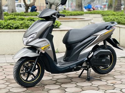 Yamaha FreeGo 2024 - ảnh 1