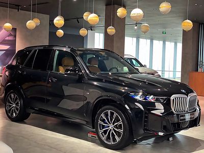 BMW X5 - ảnh 1
