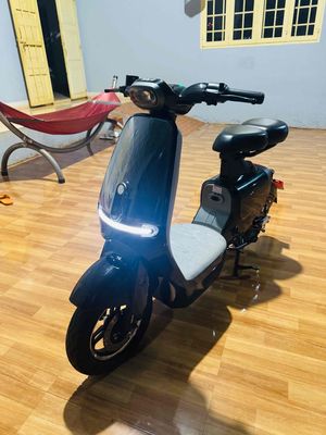 Xe m 2025 - ảnh 1