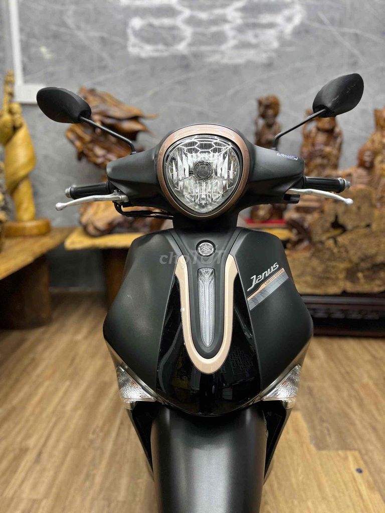 Yamaha Janus 2024 - ảnh 1