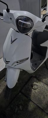 Xe m 2025 - ảnh 1