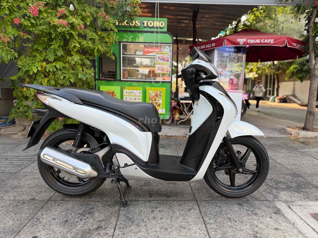 sh 2010 - ảnh 3