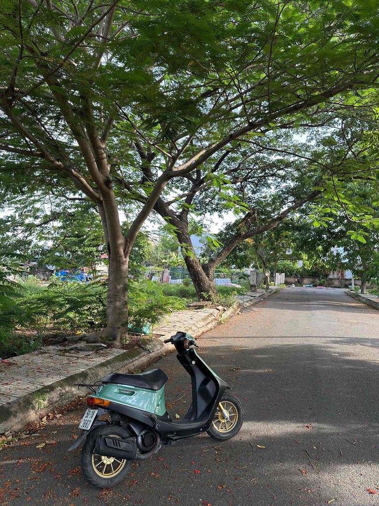 Honda Dio 2026 - ảnh 1