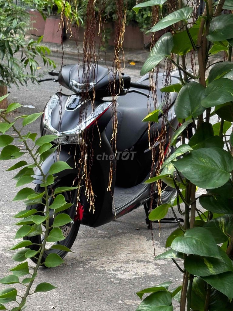 Honda SH 2025 - ảnh 1
