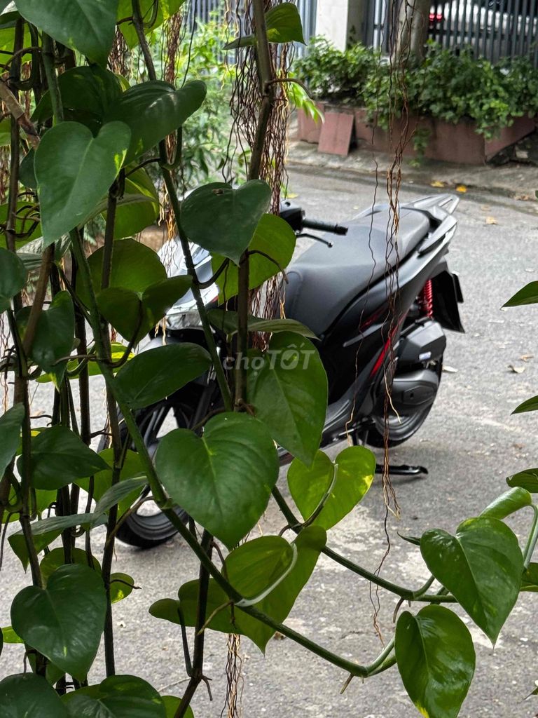 Honda SH 2025 - ảnh 5