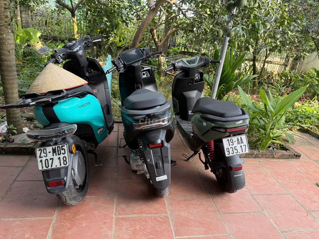 Xe m 2024 - ảnh 5