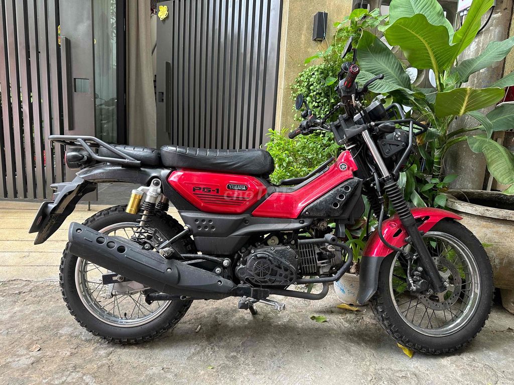 xe 2024 - ảnh 2