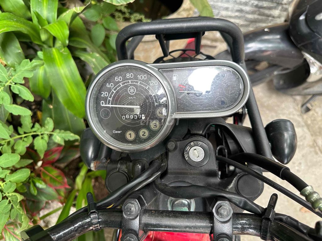 xe 2024 - ảnh 3