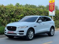 Jaguar 2019 - ảnh 1