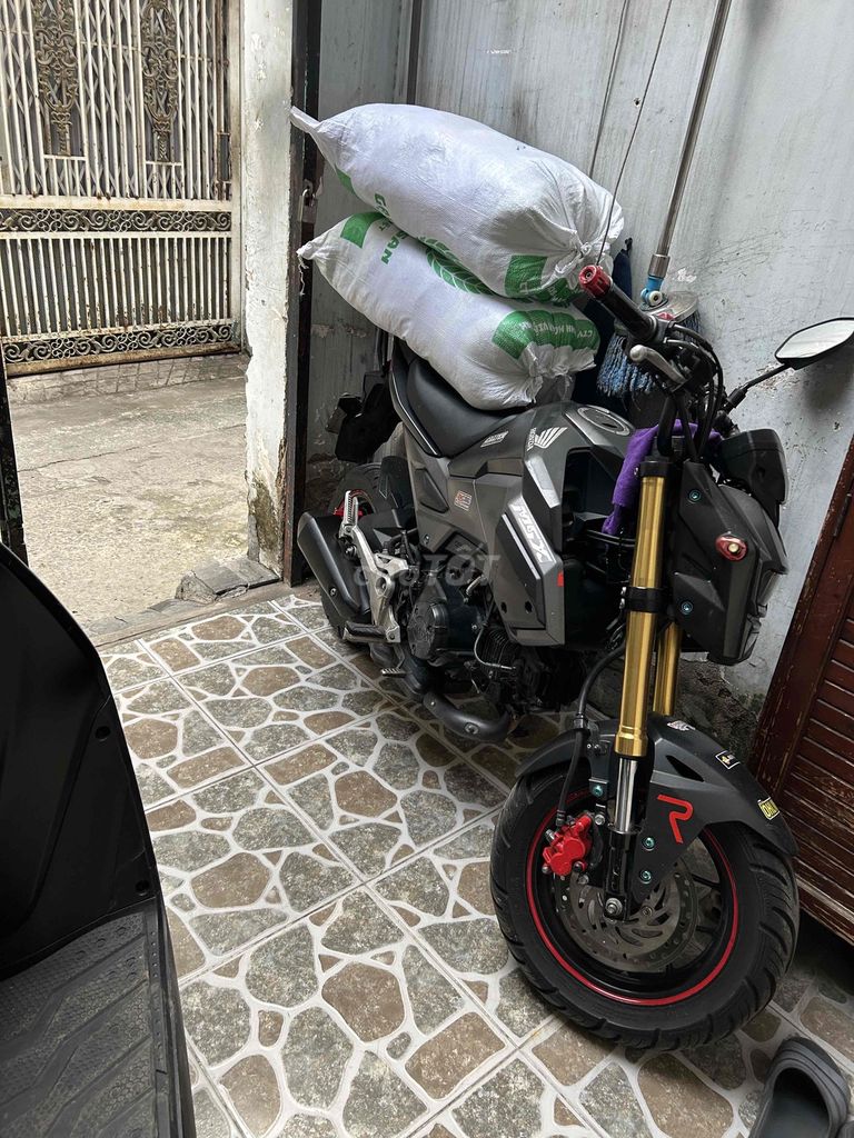 Honda MSX 2016 - ảnh 2