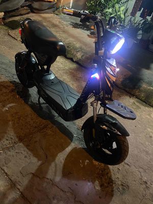 Xe 2021 - ảnh 1