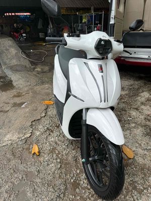 Xe m 2026 - ảnh 1