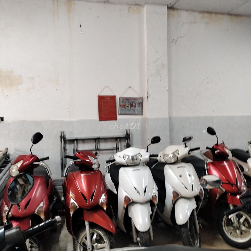 Honda 2011 - ảnh 4