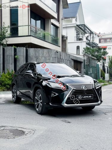 Lexus RX 300 2019 - ảnh 2