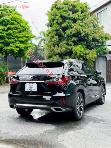 Lexus RX 300 2019 - ảnh 5