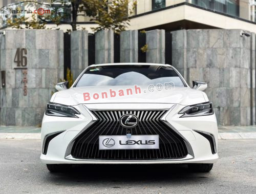 Lexus ES 250 2018 - ảnh 1