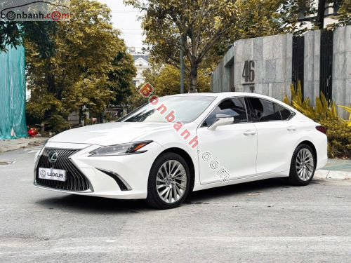 Lexus ES 250 2018 - ảnh 3