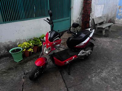 Xe m 2024 - ảnh 1
