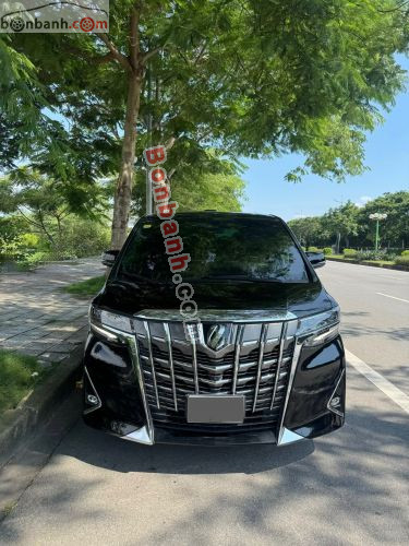 Toyota Alphard Luxury Executive Lounge 2021 - ảnh 1