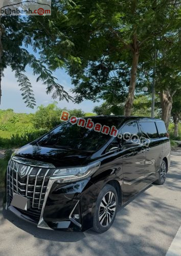Toyota Alphard Luxury Executive Lounge 2021 - ảnh 2