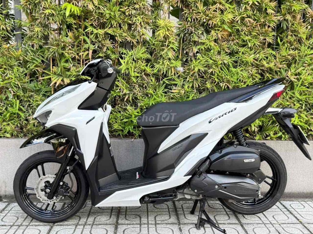 VARIO 2022 - ảnh 3
