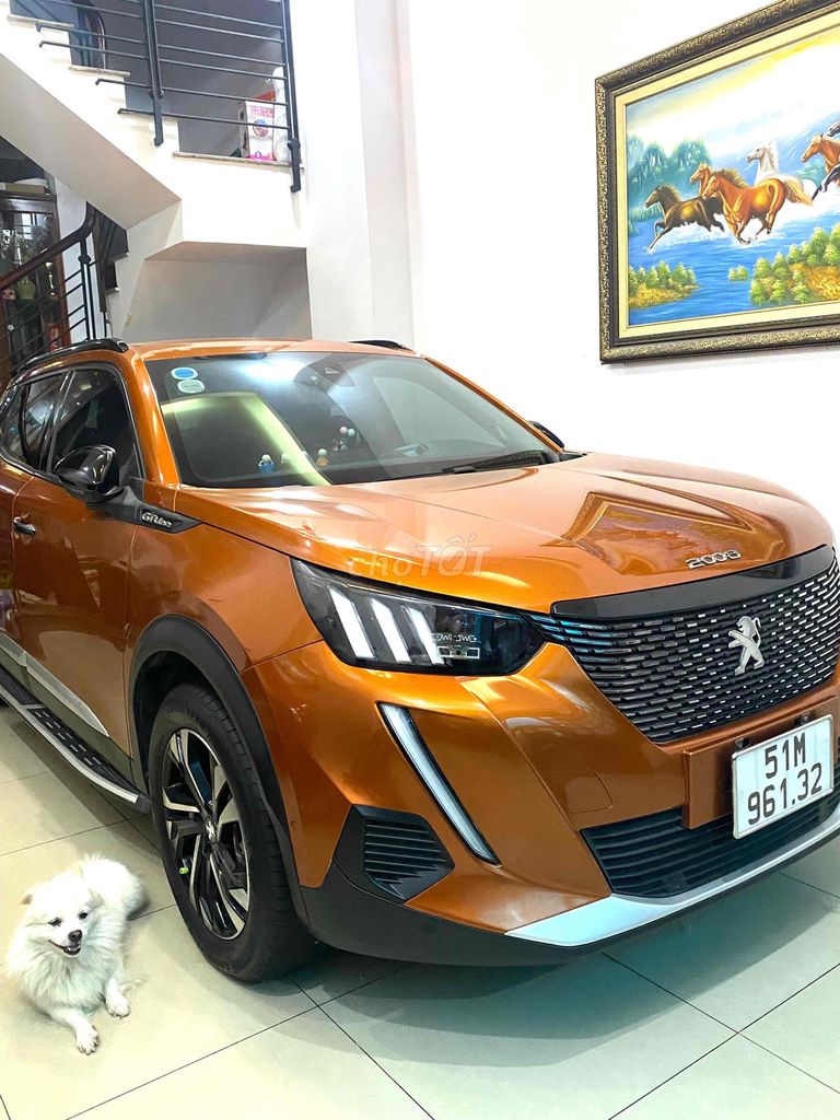 Peugeot 2008 2008 - ảnh 2