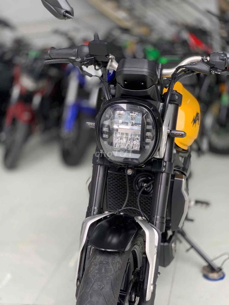GPX 2021 - ảnh 5